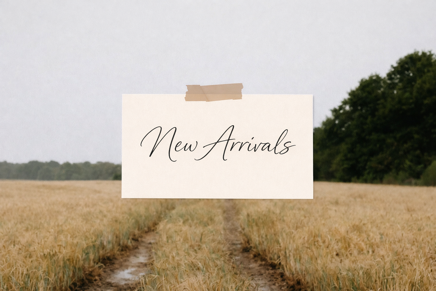 New Arrivals